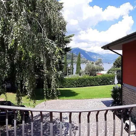 Leilani سيل ماراسينو