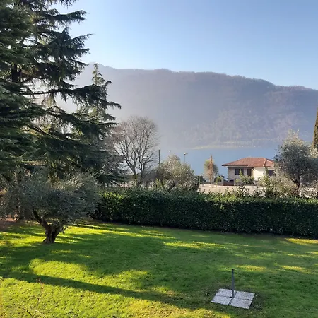 Leilani سيل ماراسينو