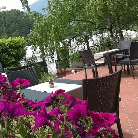 Leilani سيل ماراسينو