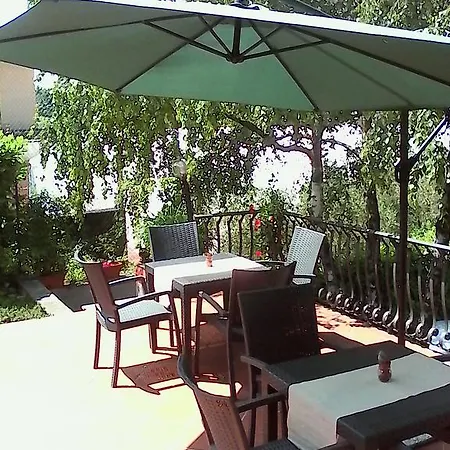 Leilani سيل ماراسينو