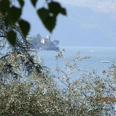 Leilani سيل ماراسينو