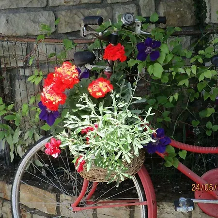 فندق مبيت وإفطار Leilani 4*